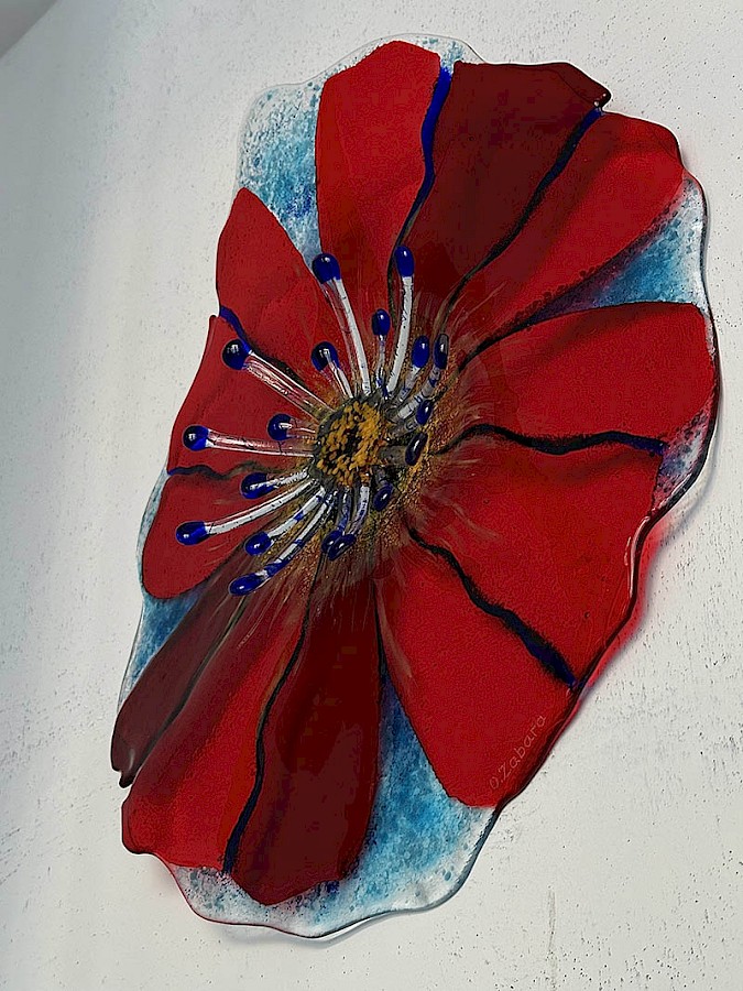 No Poppy